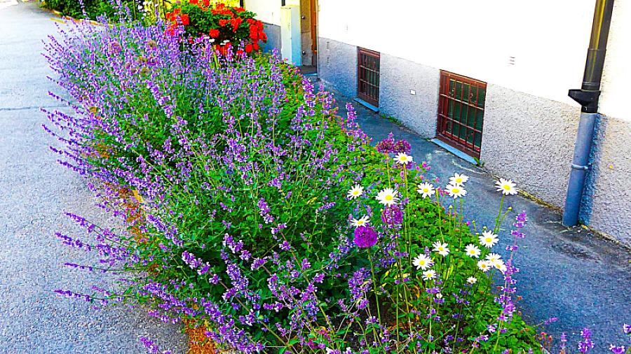 Föreningen "Blomsteräng" vid port 47-49.