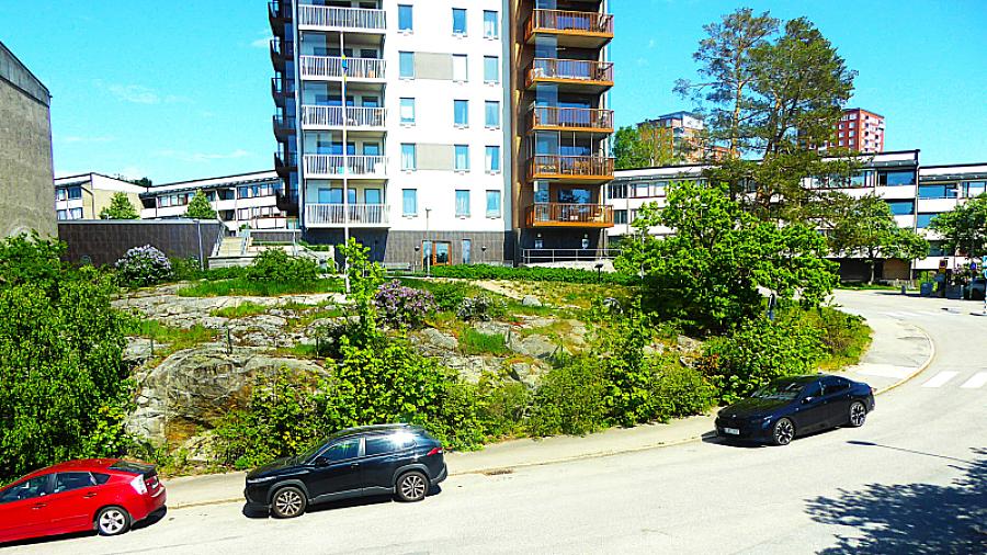       THS. Utsikt mot norr och SB:s Treglyfen