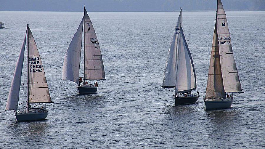                                        THS. Tisdagens segelregatta på Lambarfjärden.